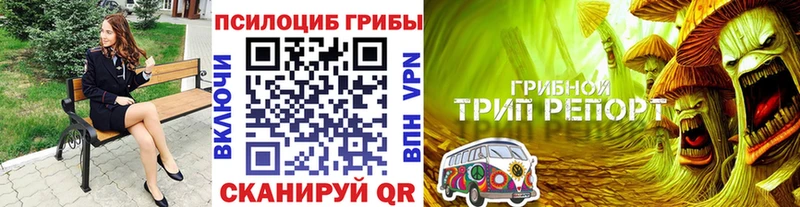 Галлюциногенные грибы мицелий  где купить   Заречный 