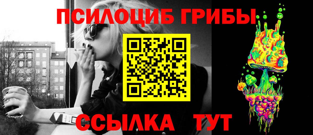 Псилоцибиновые грибы мухоморы  Вход с VPN  Заречный 