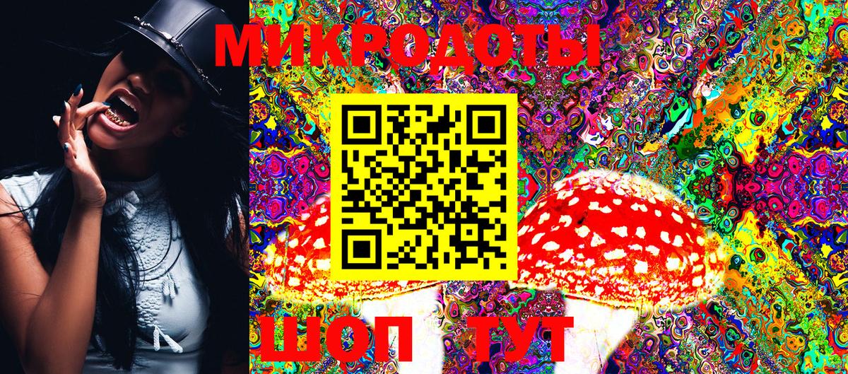 Псилоцибиновые грибы Cubensis Заречный