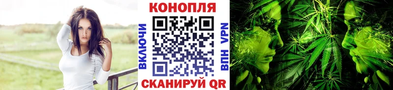 где купить наркотик  Заречный  Шишки марихуана индика 