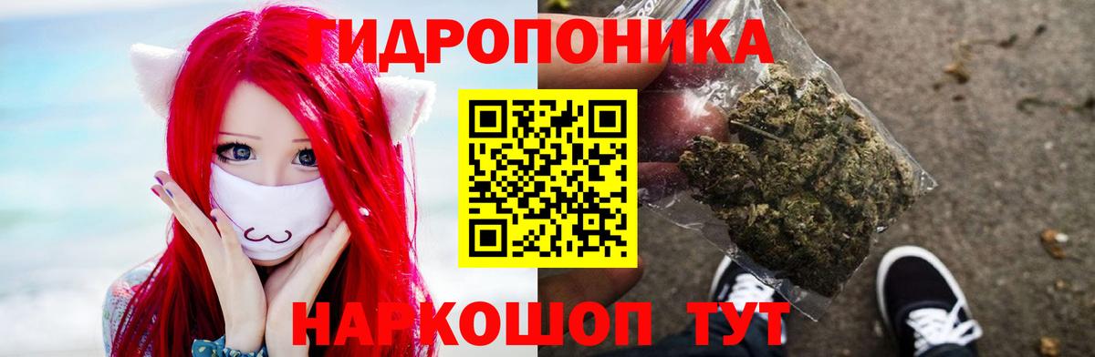 Шишки марихуана VHQ  Вход с VPN  Заречный  Канабис THC 21% 